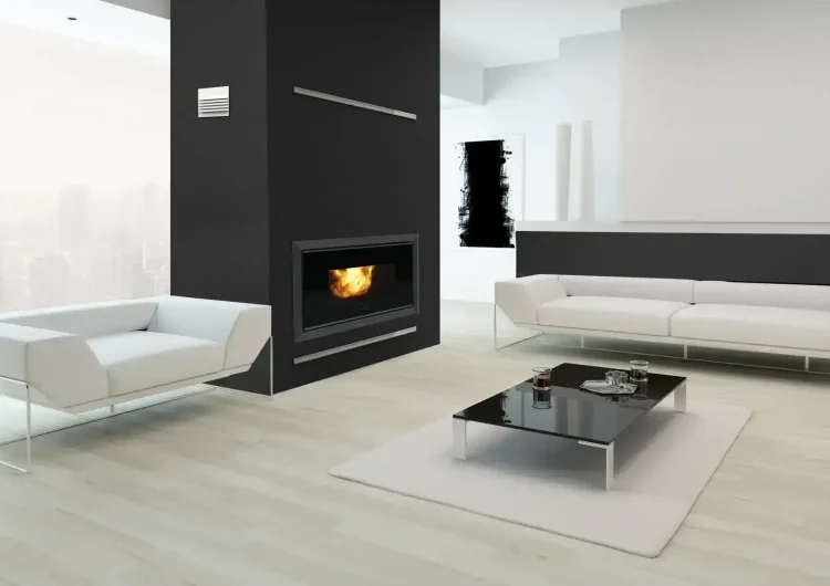 Luxurious black and white living room interior