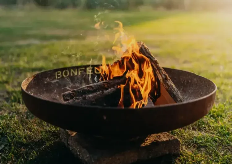 Disponibles en diversos diseños y acabados resistentes a la intemperie, son perfectos para disfrutar de la luz y el calor del fuego de forma segura y elegante en las noches al aire libre.